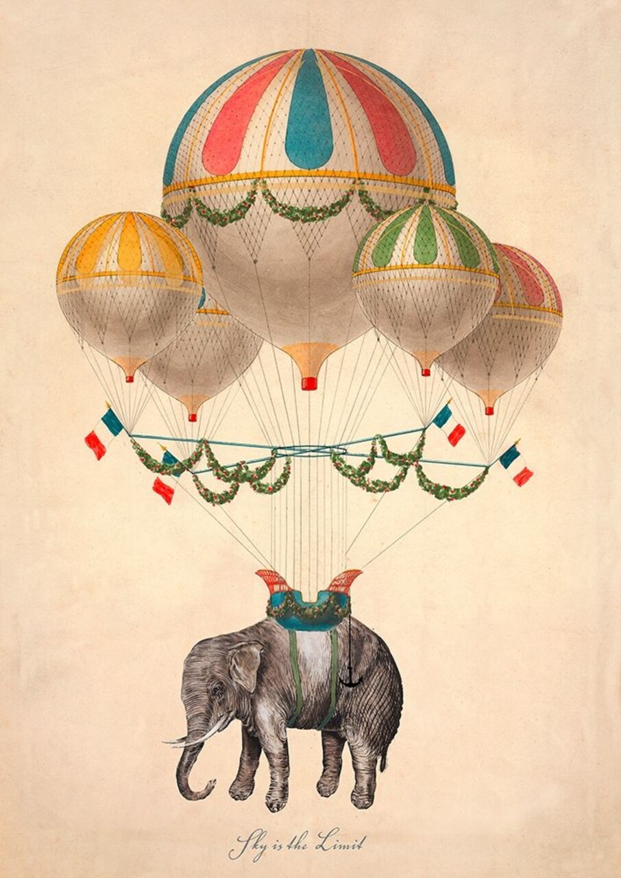 Sky is the Limit Poster Print by Lamanche Stef - Item # VARPDX3SL4943